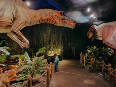 Klein trifft gigantisch: Besonders ehrfürchtig bestaunt Kyra den Spinosaurus. Foto: Stache