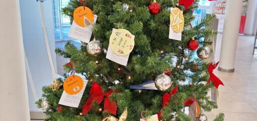 Entgegen der bisherigen Erwartungen kann die Sterntaler-Aktion in diesem Jahr doch stattfinden. Bäume mit Sterntalern gibt es im Rathaus sowie einigen lokalen Geschäften. Foto: pv