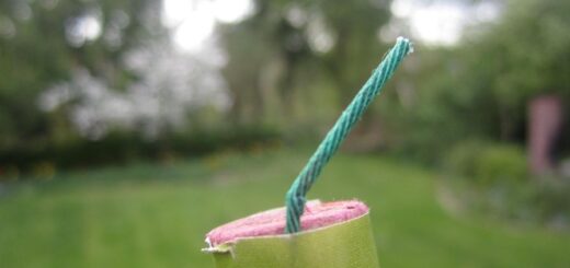 boeller-foto-Kola-Pixabay böller Polizei Feuerwehr Tierschutz Tierquälerei Trauma Krieg