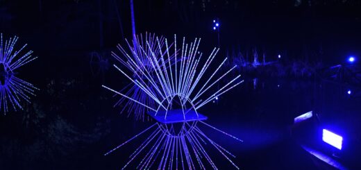 Im vergangenen Jahr illuminierten verschiedene Lichtinstallationen noch den Rhododendron-Park in Horn. In diesem Jahr findet das „LightUp!-Festival“ nicht statt. Foto: Schlie