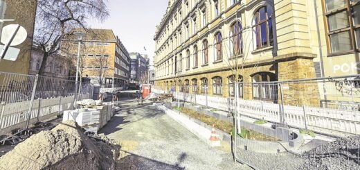 Die Bauarbeiten an der Dechanatstraße seien kurz vor dem Abschluss, heißt es aus dem Umweltressort. Weitere Klimastraßen in der City sollen vorerst nicht kommen.Foto: Schlie
